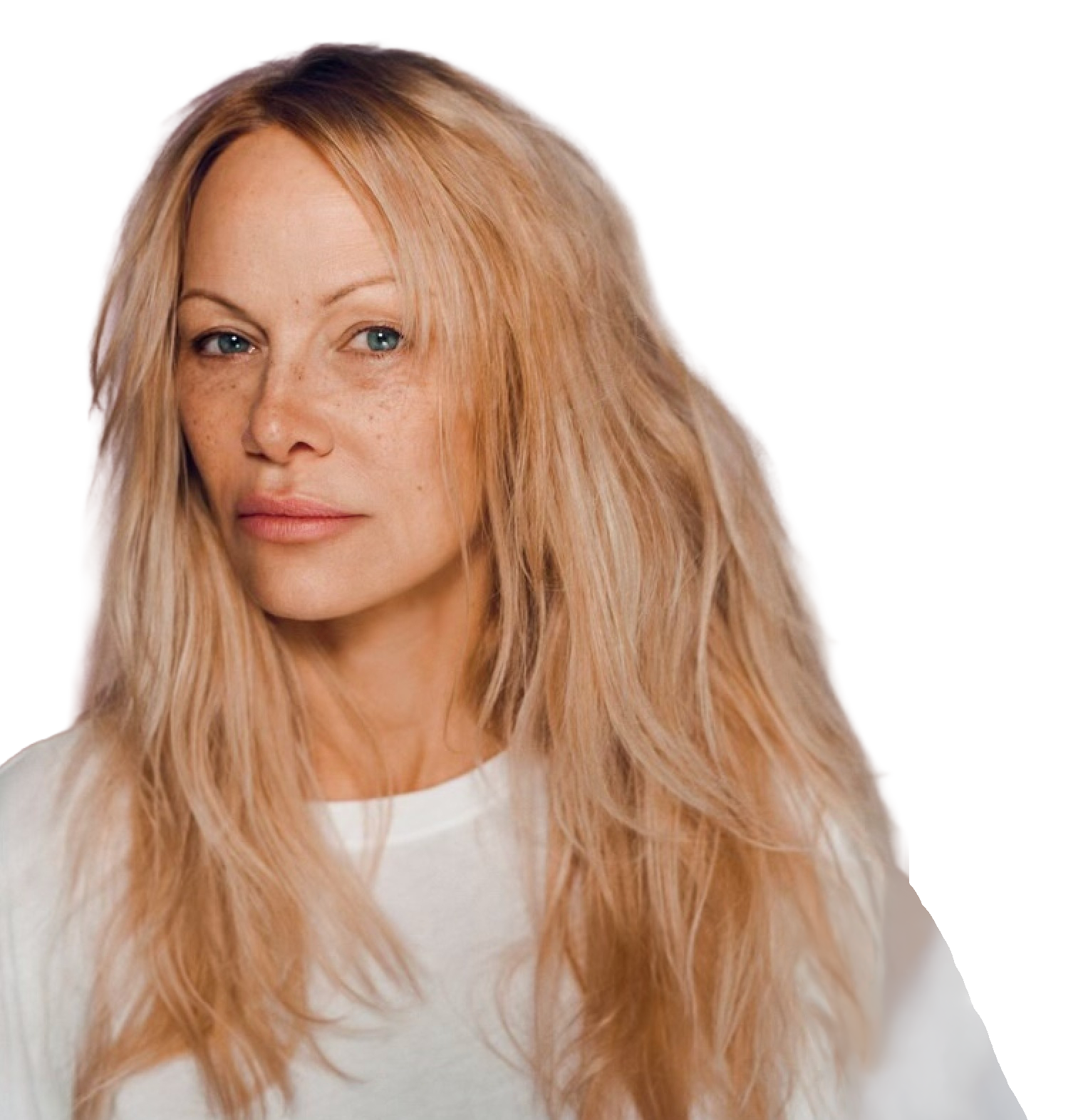 Pamela Anderson